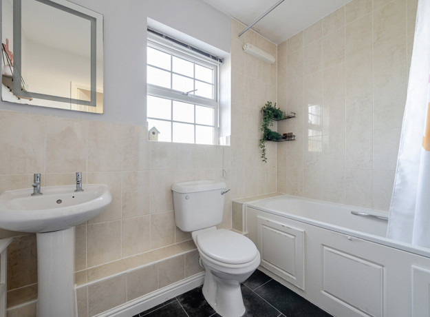 1365511 13 68E77d46523e8