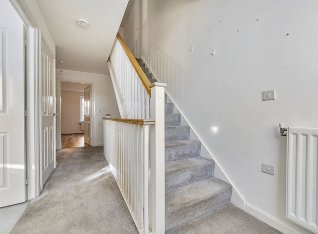 1362427 13 68E3eeab0c447