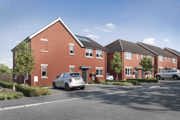 Plots 5 to 8