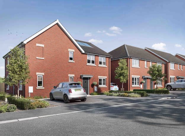 Plots 5 to 8