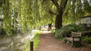 Guildford Town Centre (31)