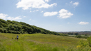 Littlemoor (10)