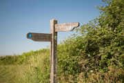 South Downs (1)