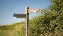 South Downs (1)