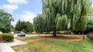 96650 12 Abercrombie Mews Larges Lane (24) Low