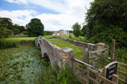 Waverly Abbey (31)