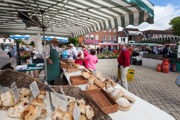 Petersfield Market (17)