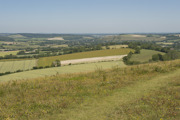 South Downs (12) (1)