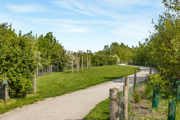 116 Lowres LA Photography Orchards Abri 2S2A0969