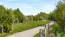 116 Lowres LA Photography Orchards Abri 2S2A0969