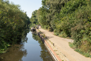 Woking (15)