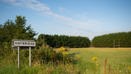 Haybridge (3)