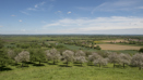 Burrow Hill Cider Farm (1)