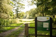 Ashford Hill Nature Reserve (2)