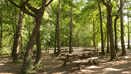 Itchen Valley (5)