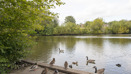 King's Pond (2)