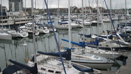 5 Tasman Court (1)