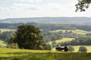 Newlands Corner (2)