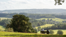 Newlands Corner (2)