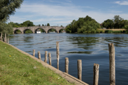 Chetsey Meads & River Thames (11)