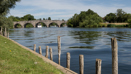 Chetsey Meads & River Thames (11)