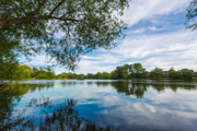 Adobestock 164025861