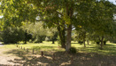 Sherfield On Loddon (6)