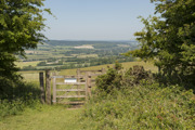 South Downs (9)