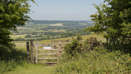 South Downs (9)