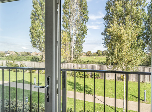 1360308 19 68D3db556f24d