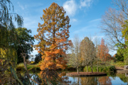Adobestock 674014547