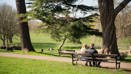 Greville Smyth Park (1)