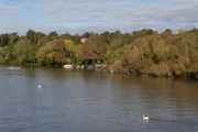 Caversham Center And Gardens (10)