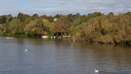 Caversham Center And Gardens (10)