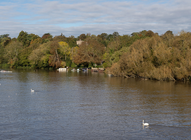 Caversham Center And Gardens (10)