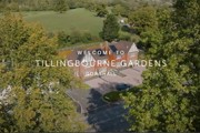 Tillingbourne Gardens Low Res