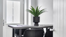 Dining area with table, chairs, and potted plant near window.