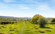 Sidney Park