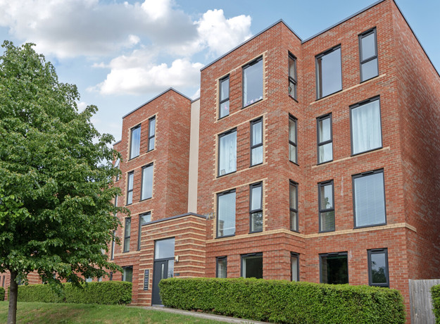 4 6819Bb202ee53 1288681 ARW 4