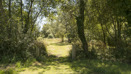 Sherfield On Loddon (11)