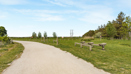 107 Lowres LA Photography Orchards Abri 2S2A0952
