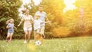 Adobestock 204060153