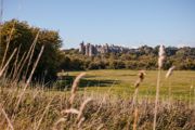 Abri Fordham And Woodgate Fordham And Woodgate Local Area V1 093 Webres