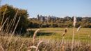 Abri Fordham And Woodgate Fordham And Woodgate Local Area V1 093 Webres