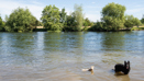 Chetsey Meads & River Thames (6)