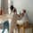 Bathrooms / Ensuite