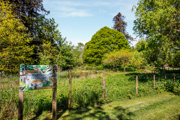 Green open space with nature trails and mature landscaping