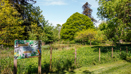 Green open space with nature trails and mature landscaping