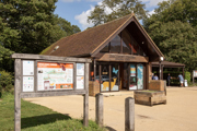 Newlands Corner (5)