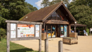 Newlands Corner (5)
